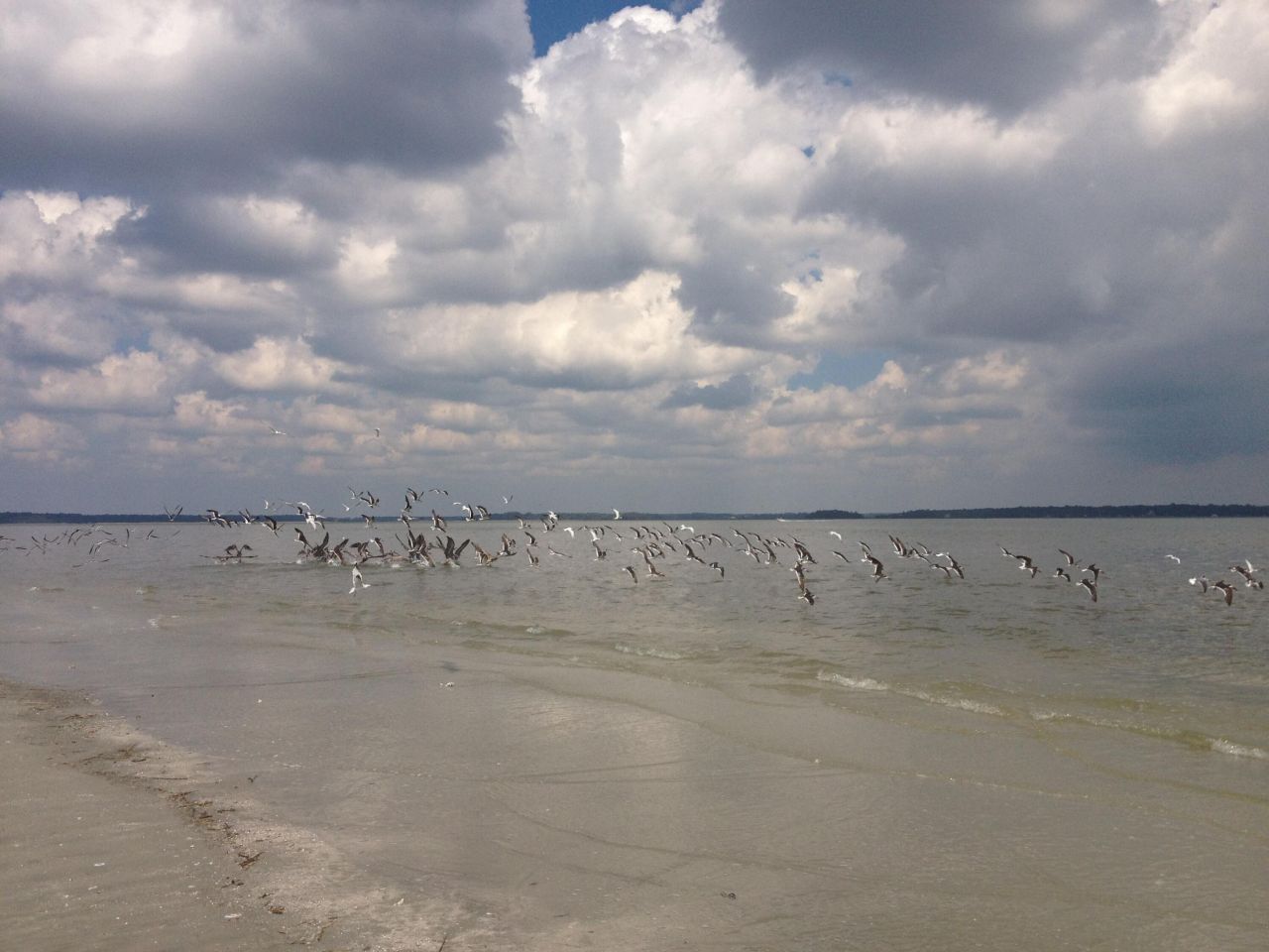 3701 Dock Site Road Photo 20