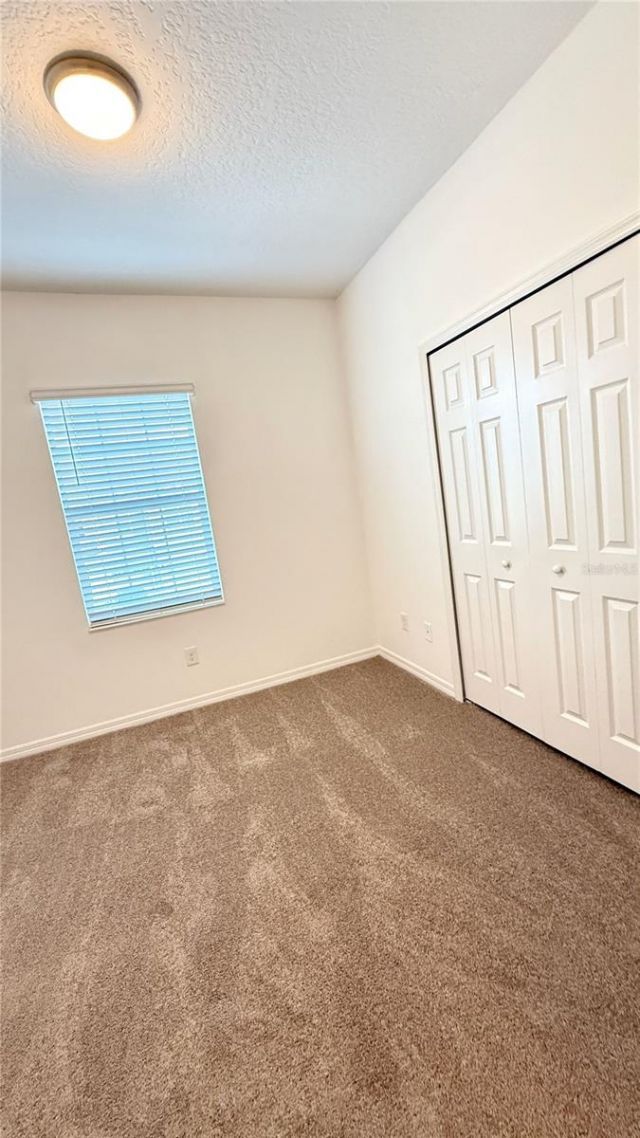 2564 Sedge Grass Way , Orlando, FL 32824 Photo