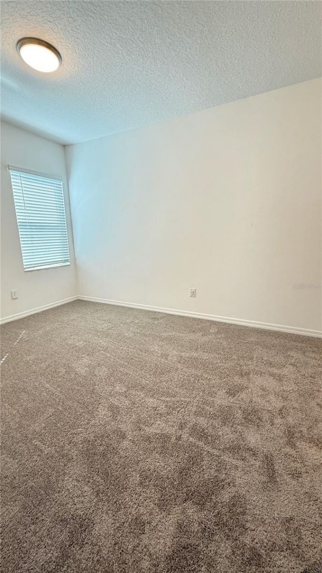 2564 Sedge Grass Way , Orlando, FL 32824 Photo