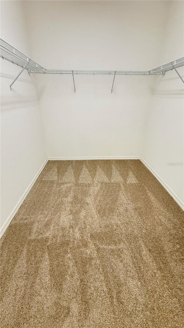 2564 Sedge Grass Way , Orlando, FL 32824 Photo