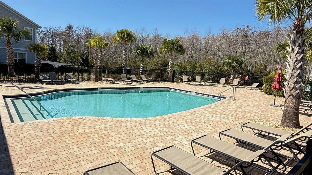 2564 Sedge Grass Way , Orlando, FL 32824 Photo