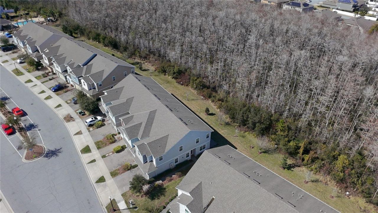 2564 Sedge Grass Way , Orlando, FL 32824 Photo