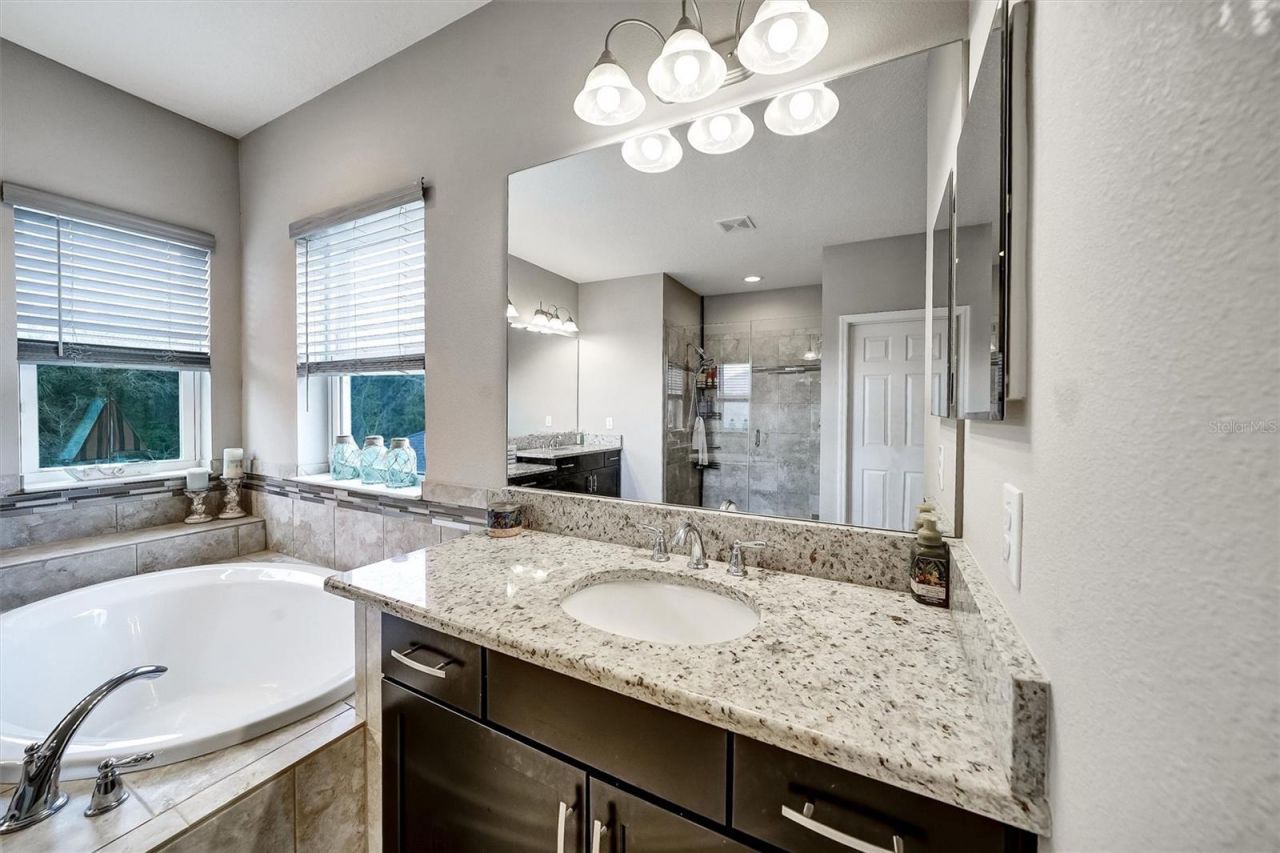 1611 Tilted Cypress Place, Wesley Chapel, FL 33544 Photo