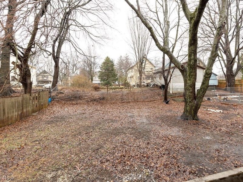 1007 Delia Avenue, Akron, OH 44320 Photo 15