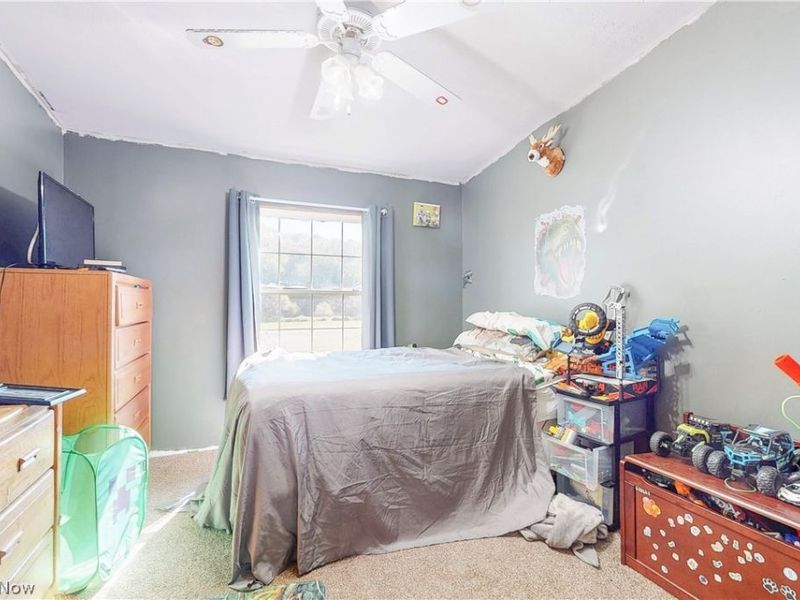 91800 Irish Creek Road, Jewett, OH 43986 Photo 37