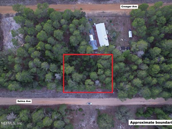 00 SELMA Avenue, Florahome, FL 32140