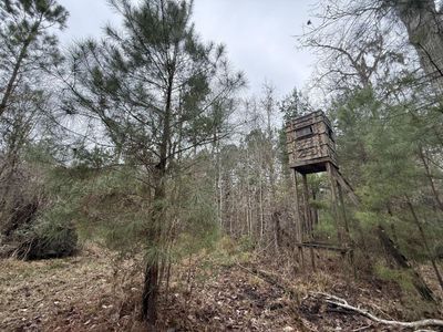 9750 Cottageville Highway, Cottageville, SC 29435