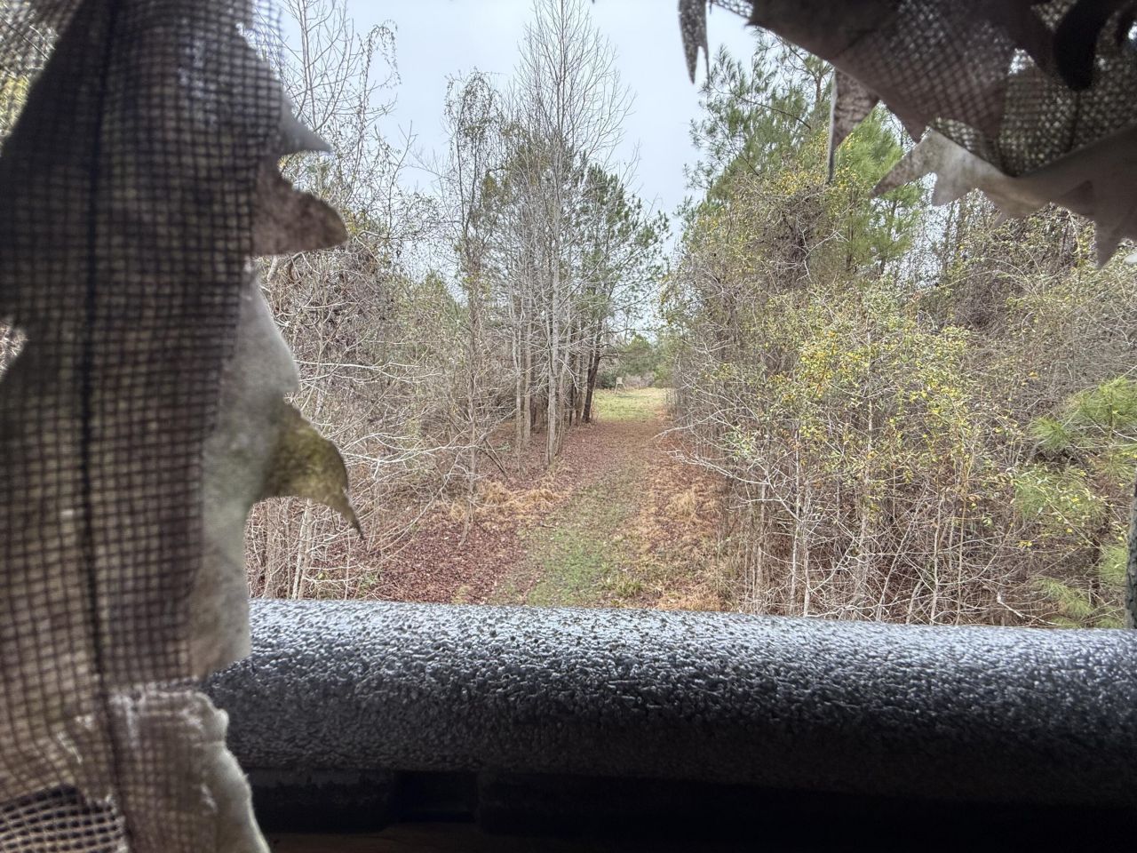 9750 Cottageville Highway Photo 10