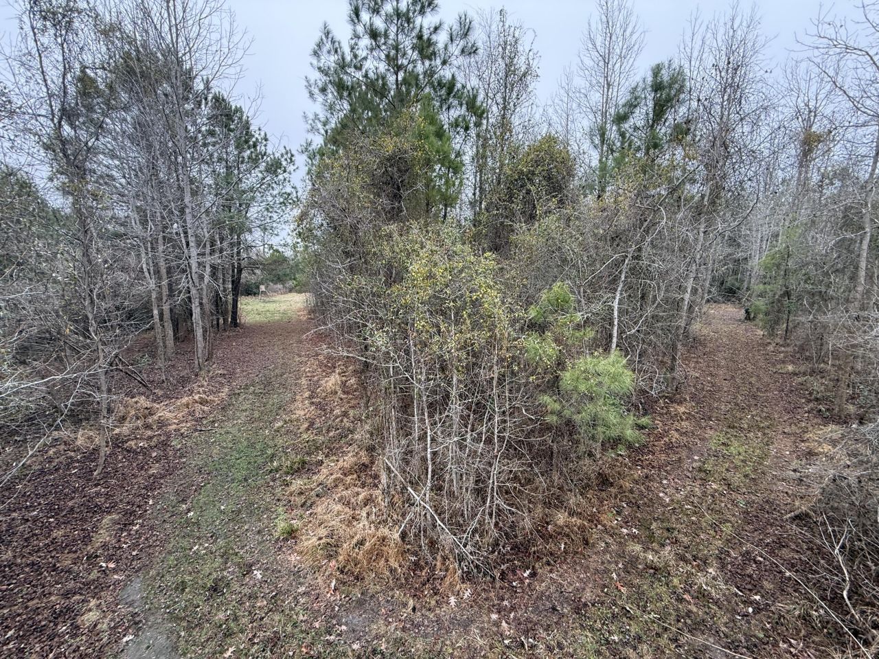 9750 Cottageville Highway Photo 11