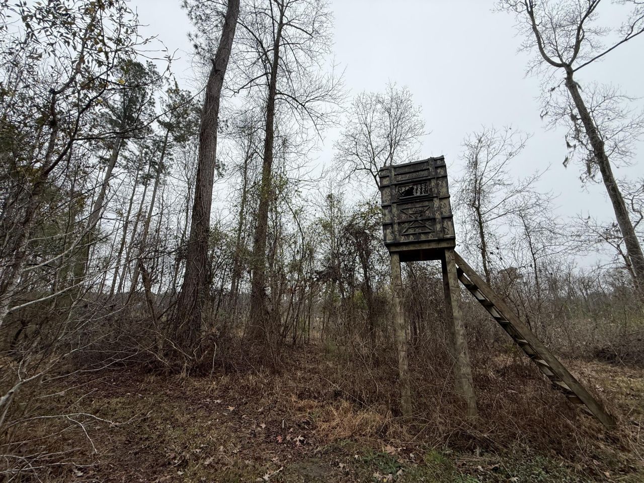 9750 Cottageville Highway Photo 12