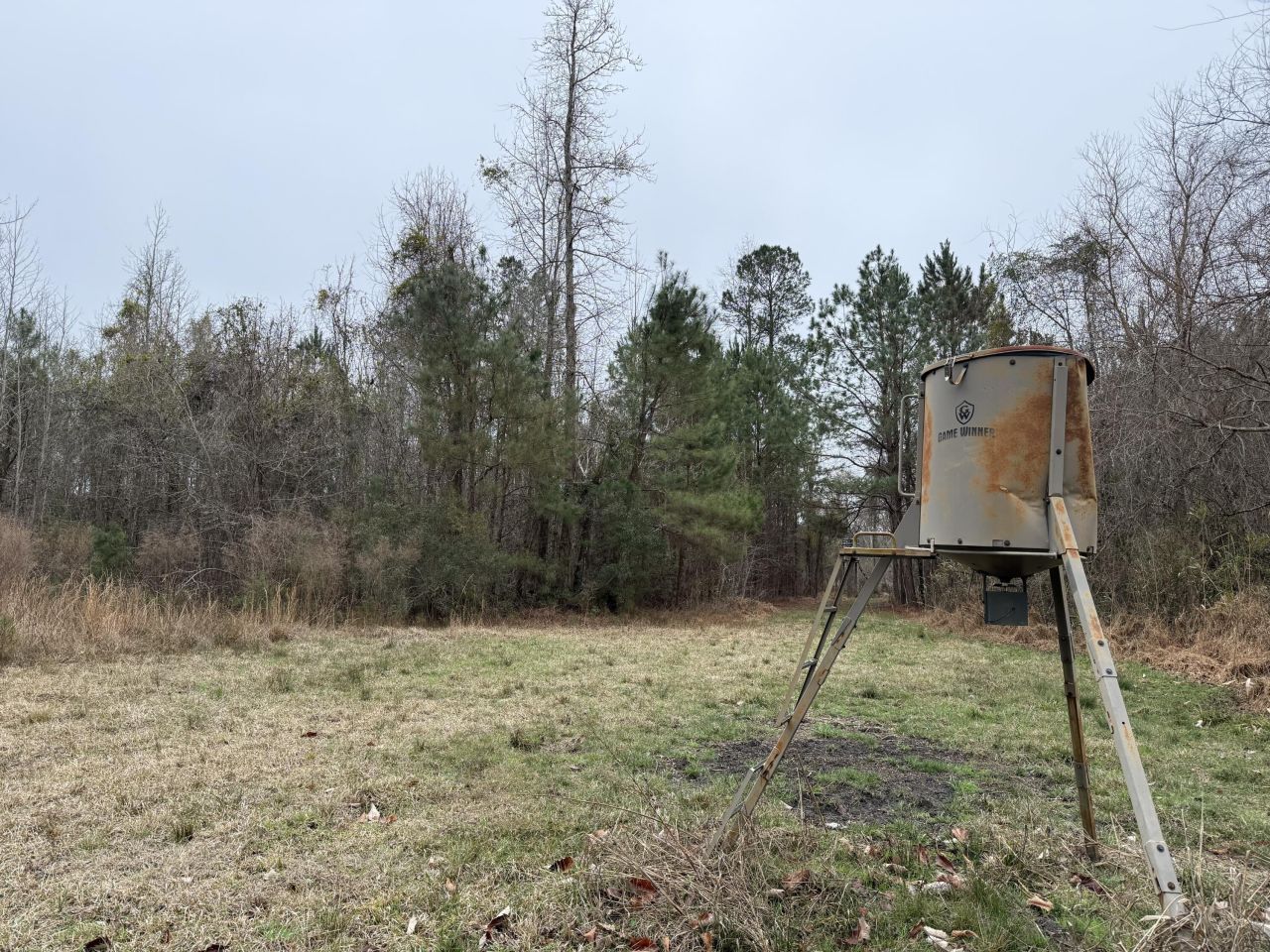 9750 Cottageville Highway Photo 13