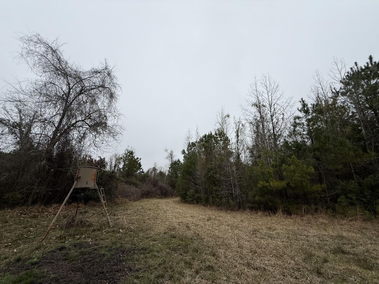 9750 Cottageville Highway Photo 14