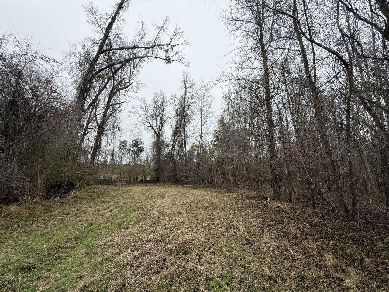 9750 Cottageville Highway Photo 15