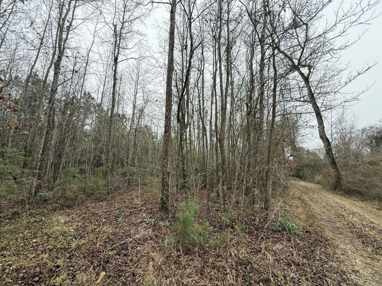 9750 Cottageville Highway Photo 16