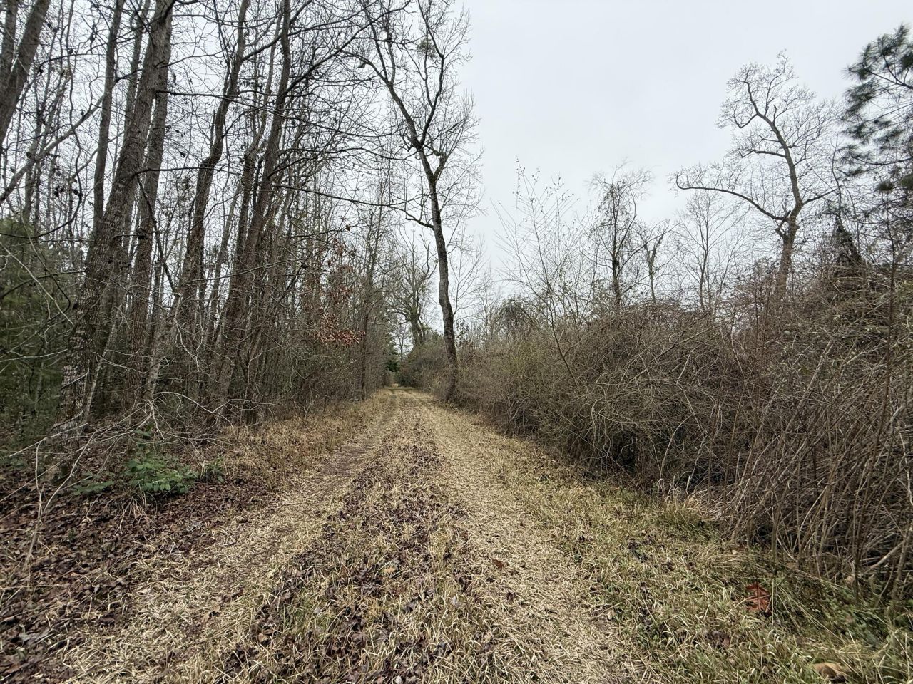 9750 Cottageville Highway Photo 17