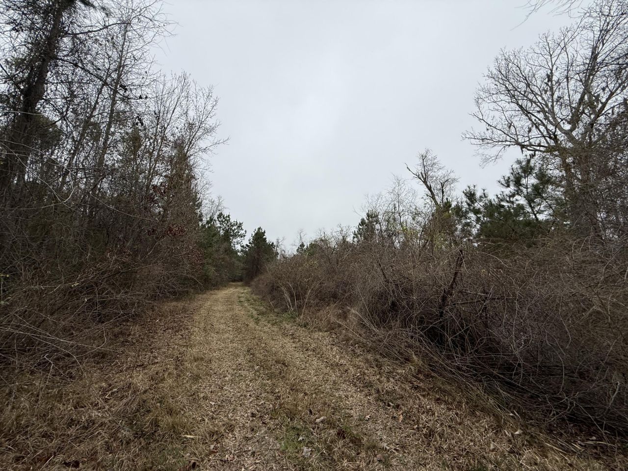 9750 Cottageville Highway Photo 18