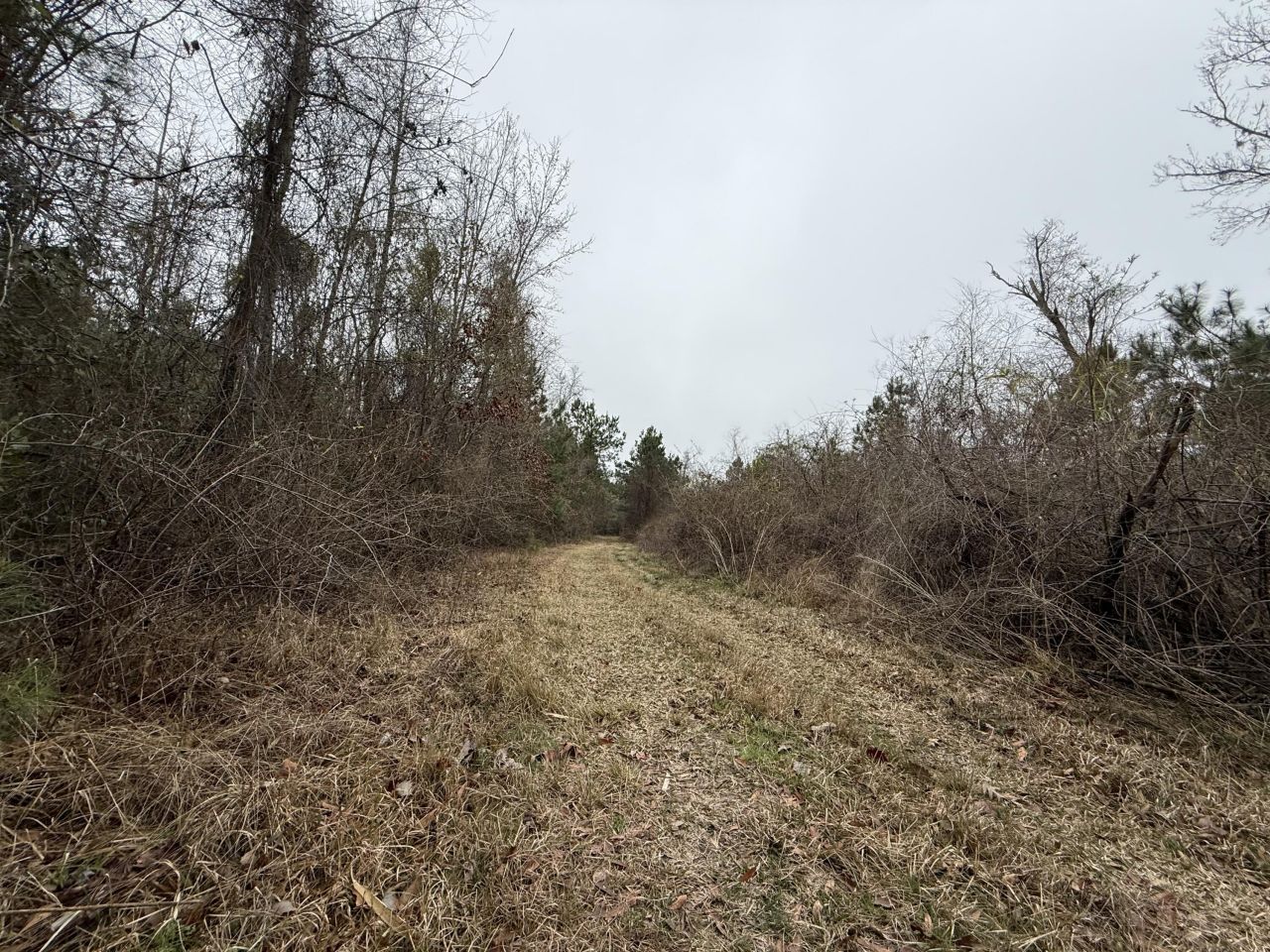 9750 Cottageville Highway Photo 19