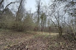 9750 Cottageville Highway photo 4