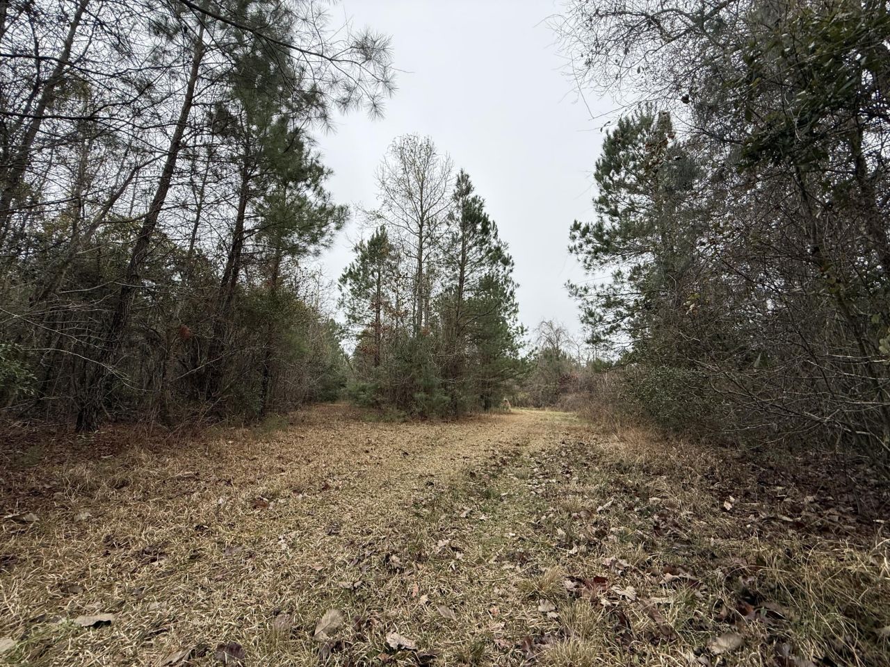 9750 Cottageville Highway Photo 20