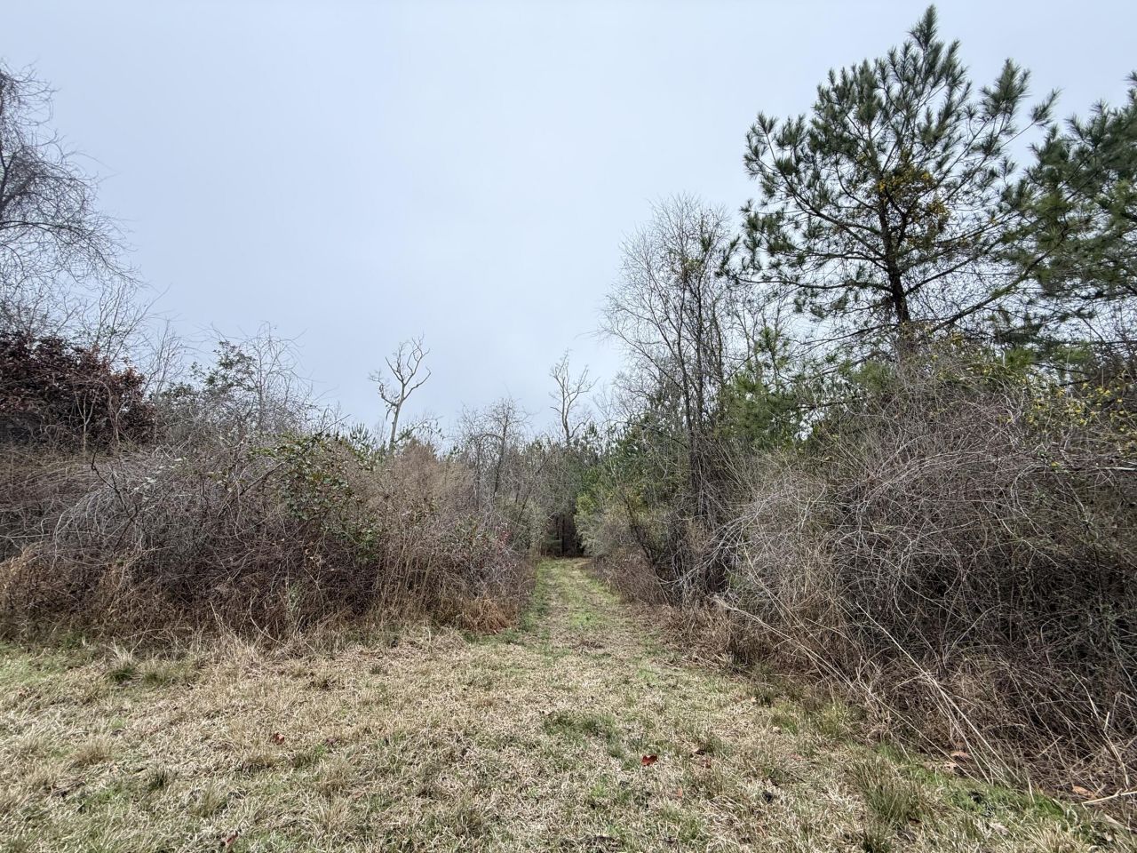 9750 Cottageville Highway Photo 21