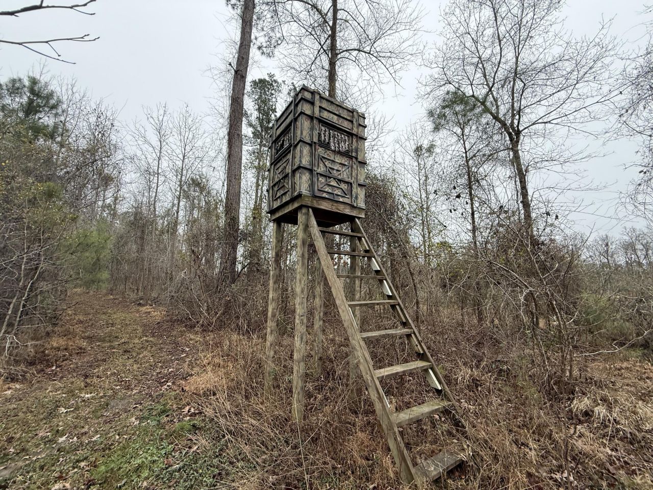 9750 Cottageville Highway Photo 23