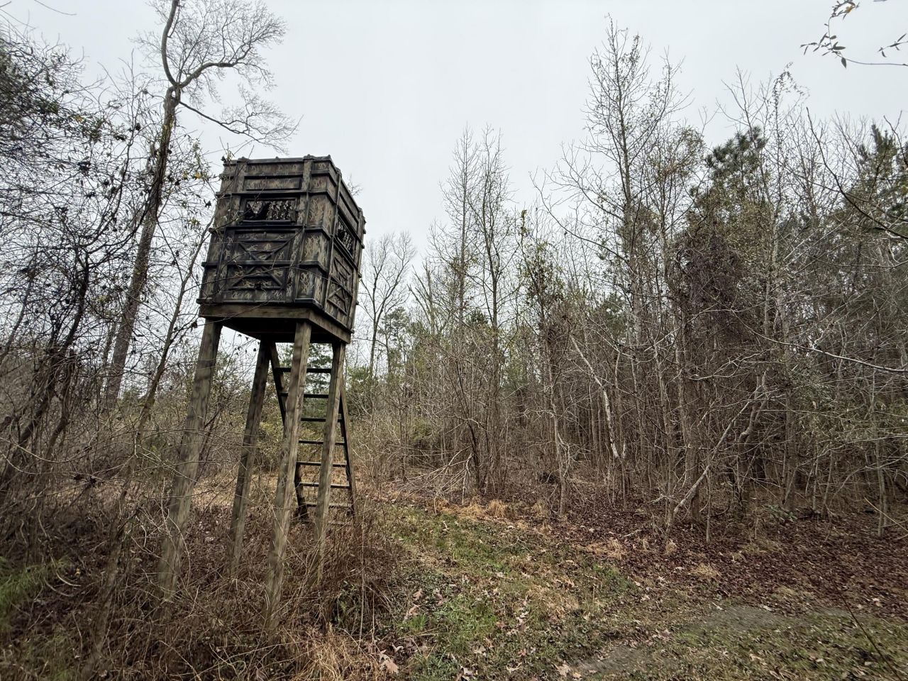 9750 Cottageville Highway Photo 24