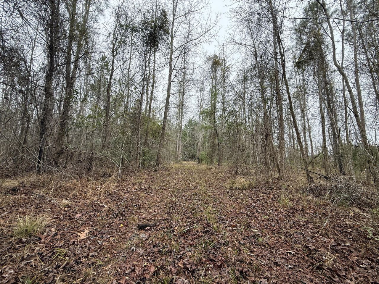 9750 Cottageville Highway Photo 25