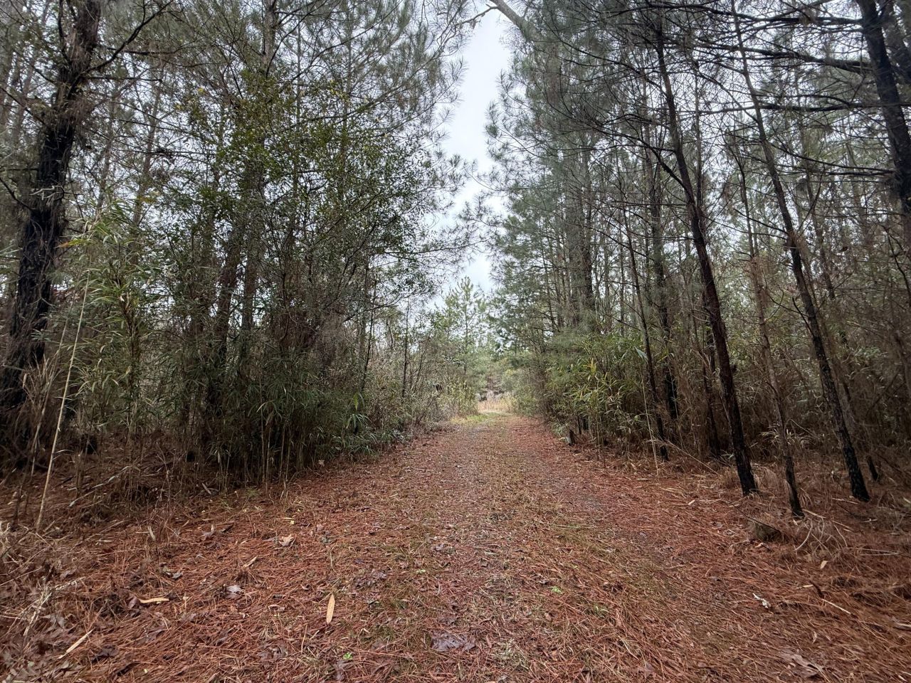 9750 Cottageville Highway Photo 26