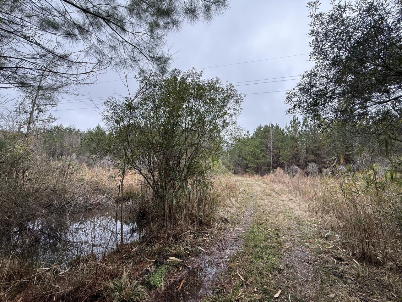 9750 Cottageville Highway Photo 27