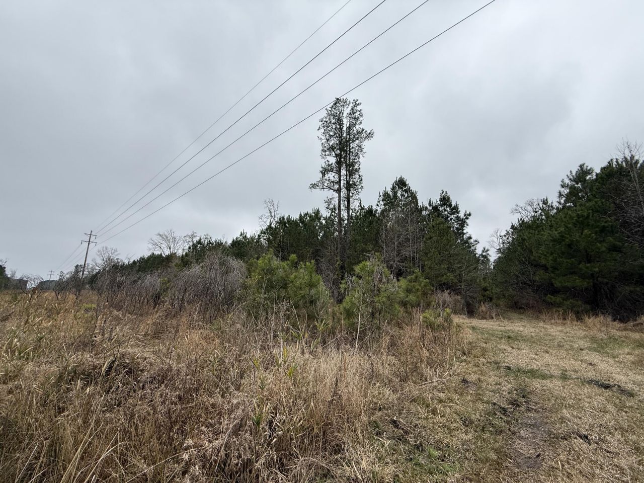 9750 Cottageville Highway Photo 28