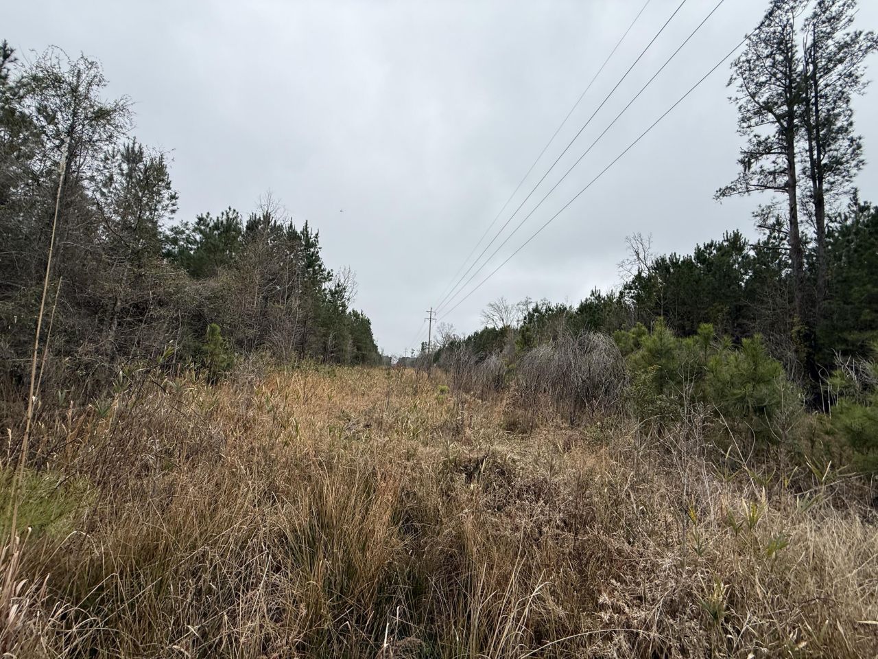 9750 Cottageville Highway Photo 29