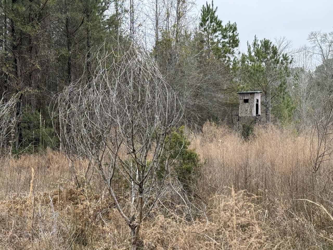 9750 Cottageville Highway Photo 30