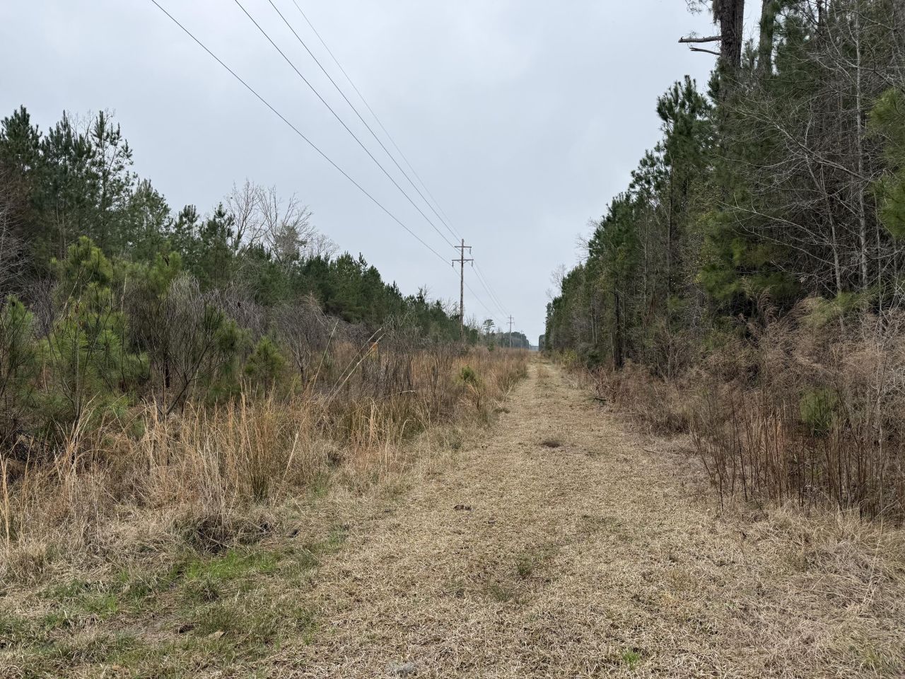 9750 Cottageville Highway Photo 31