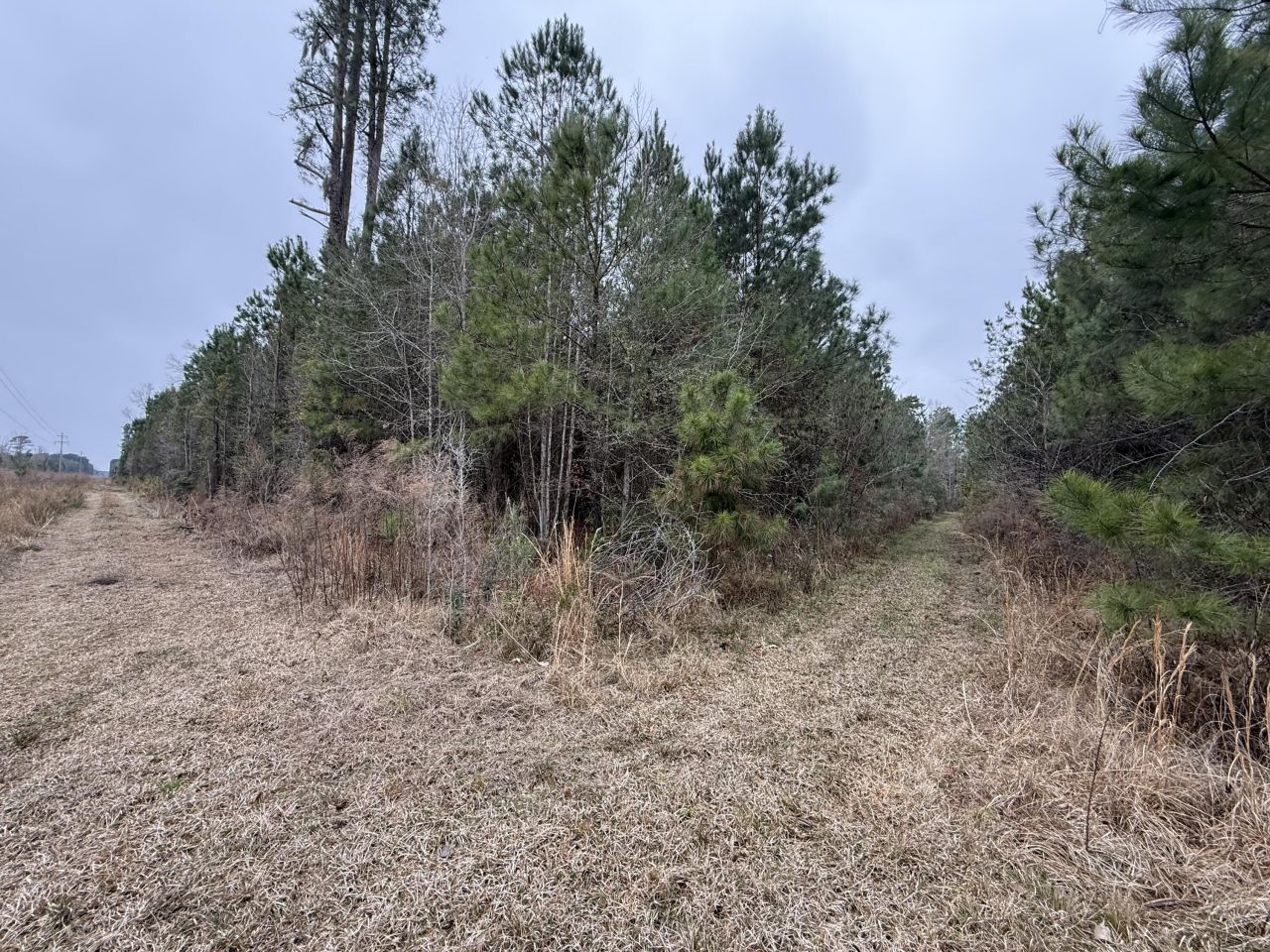 9750 Cottageville Highway Photo 32