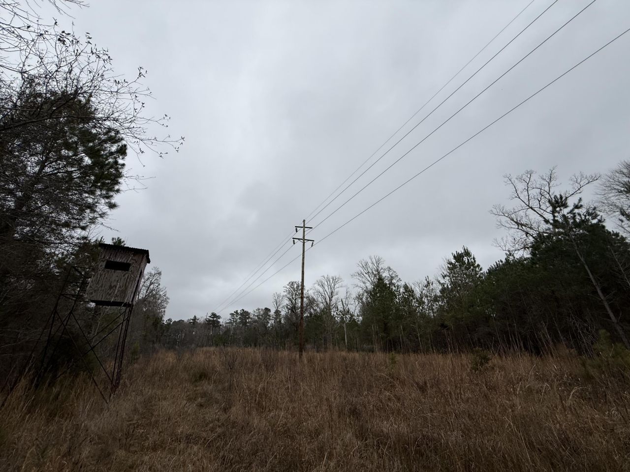 9750 Cottageville Highway Photo 33