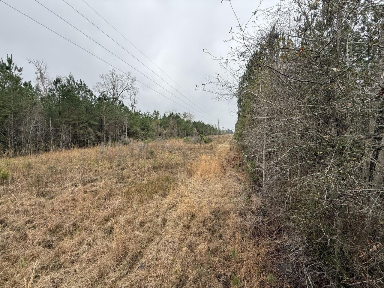 9750 Cottageville Highway Photo 34