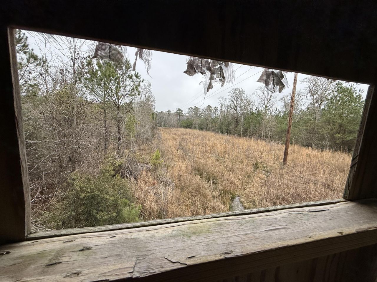 9750 Cottageville Highway Photo 35