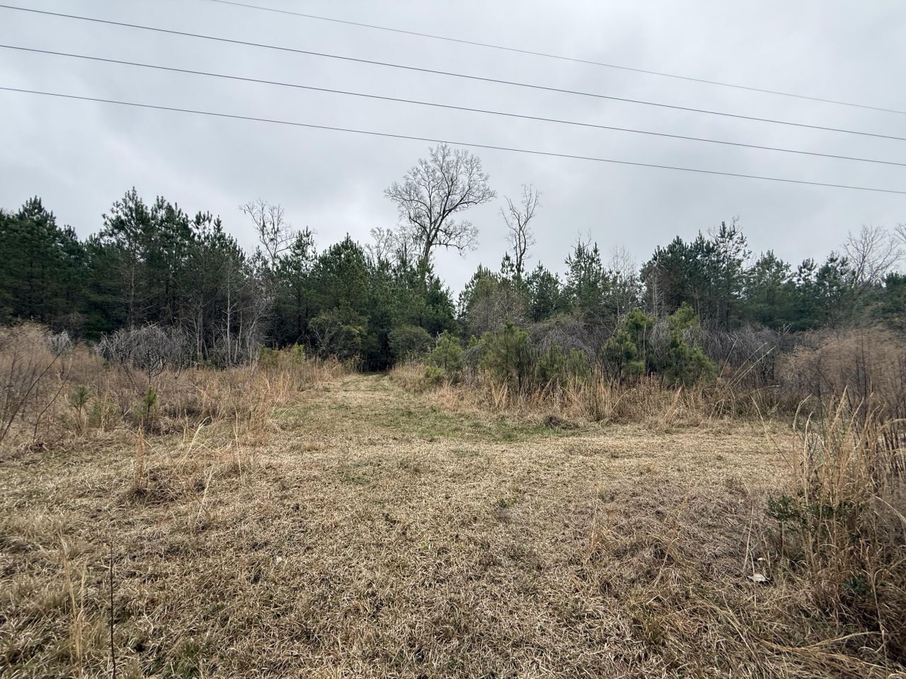 9750 Cottageville Highway Photo 36