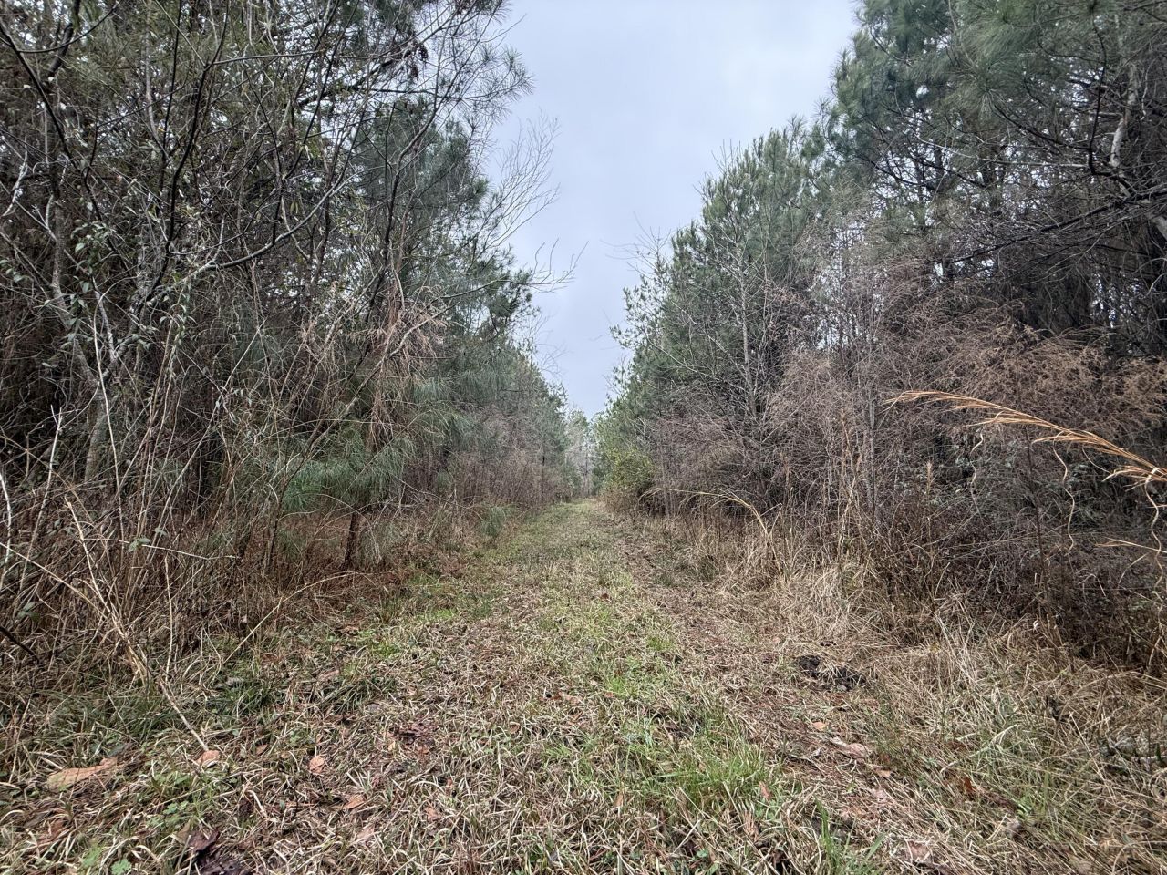 9750 Cottageville Highway Photo 37