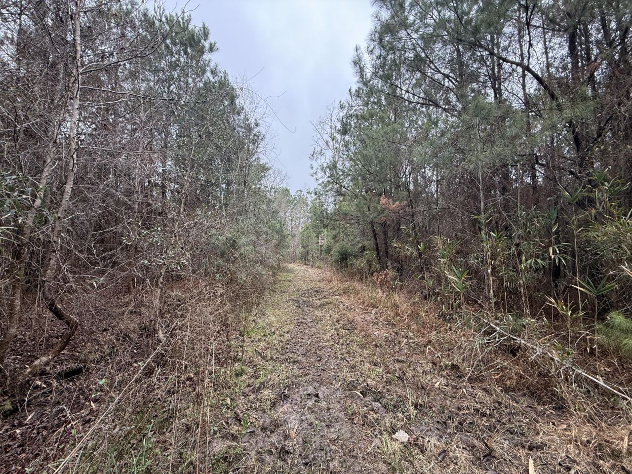 9750 Cottageville Highway Photo 39