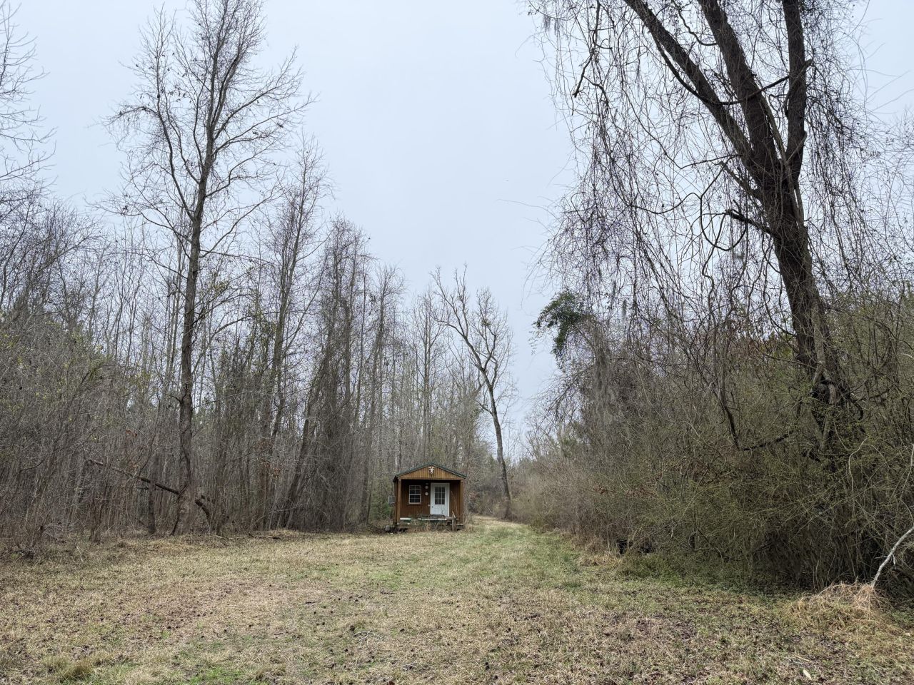 9750 Cottageville Highway Photo 4