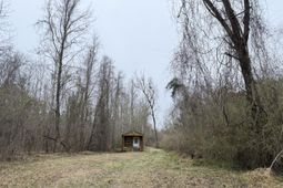 9750 Cottageville Highway photo 4