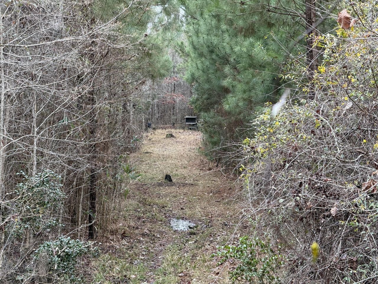 9750 Cottageville Highway Photo 43