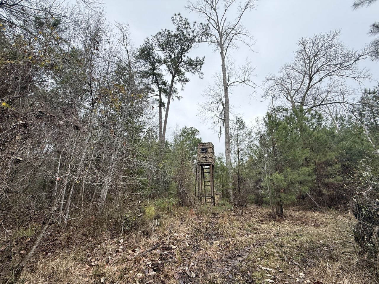 9750 Cottageville Highway Photo 45