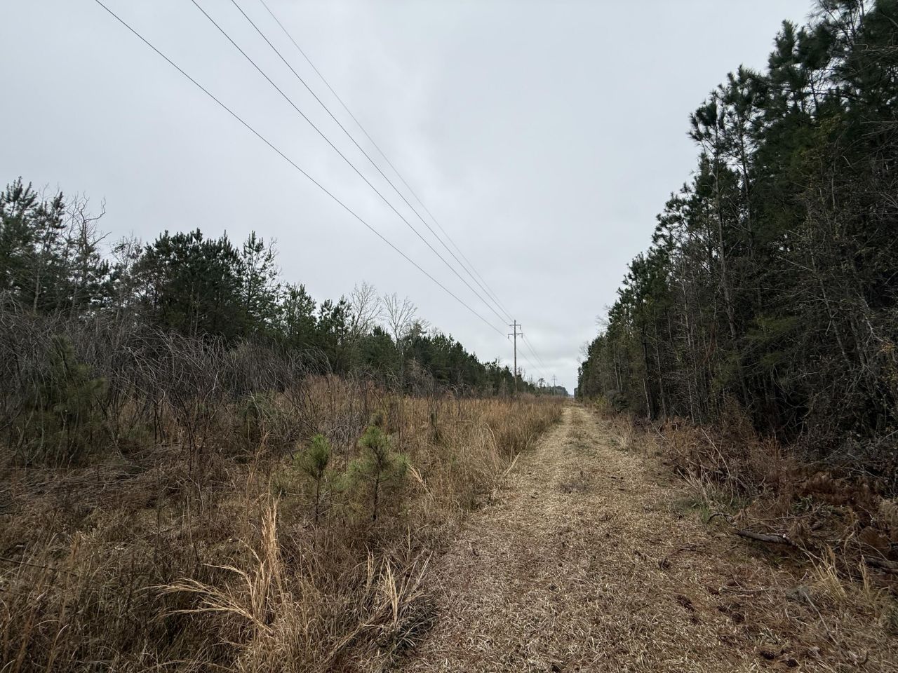 9750 Cottageville Highway Photo 46