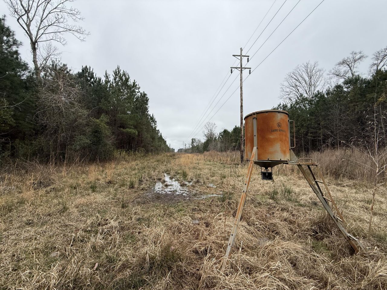 9750 Cottageville Highway Photo 47