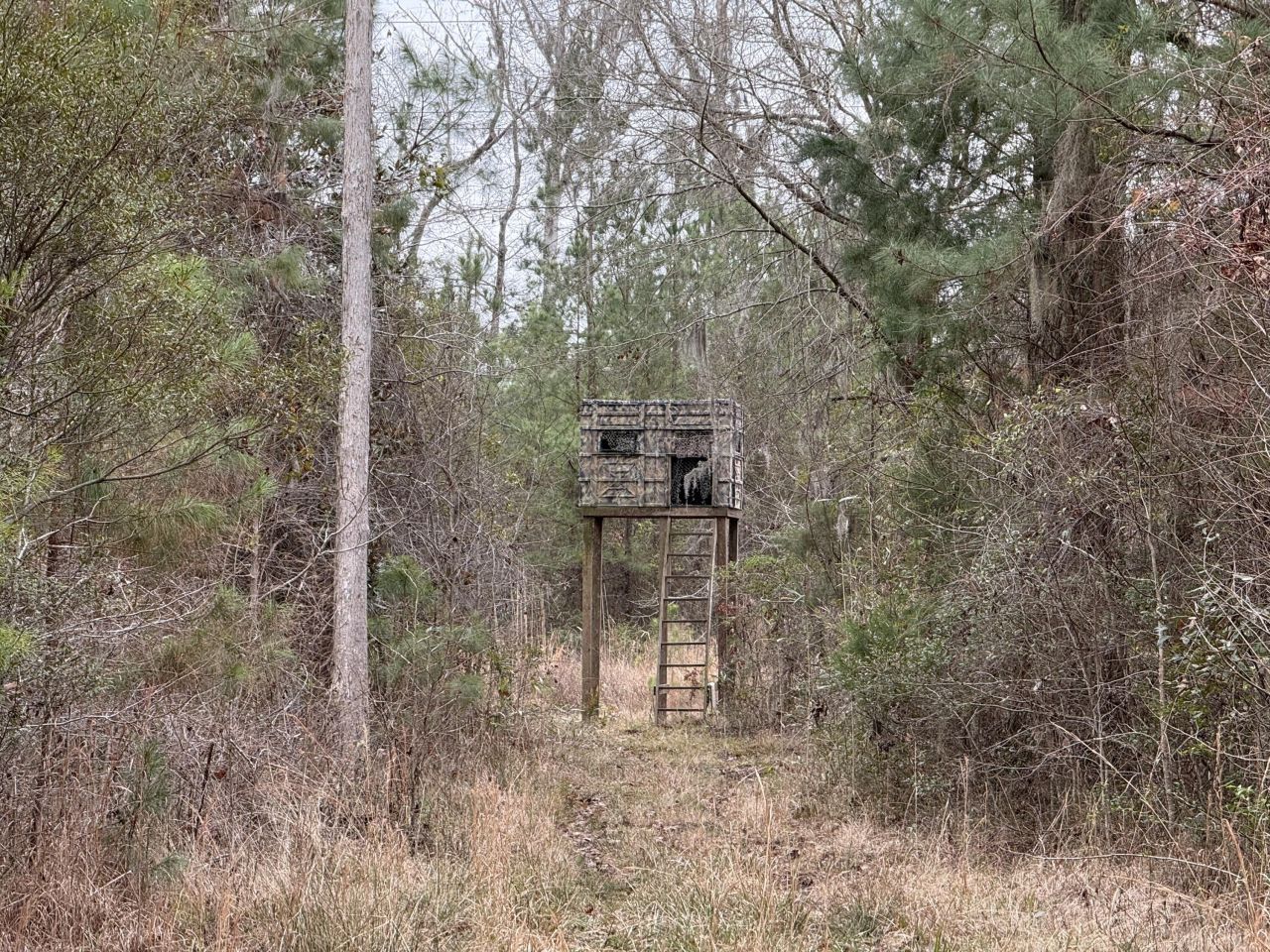 9750 Cottageville Highway Photo 49