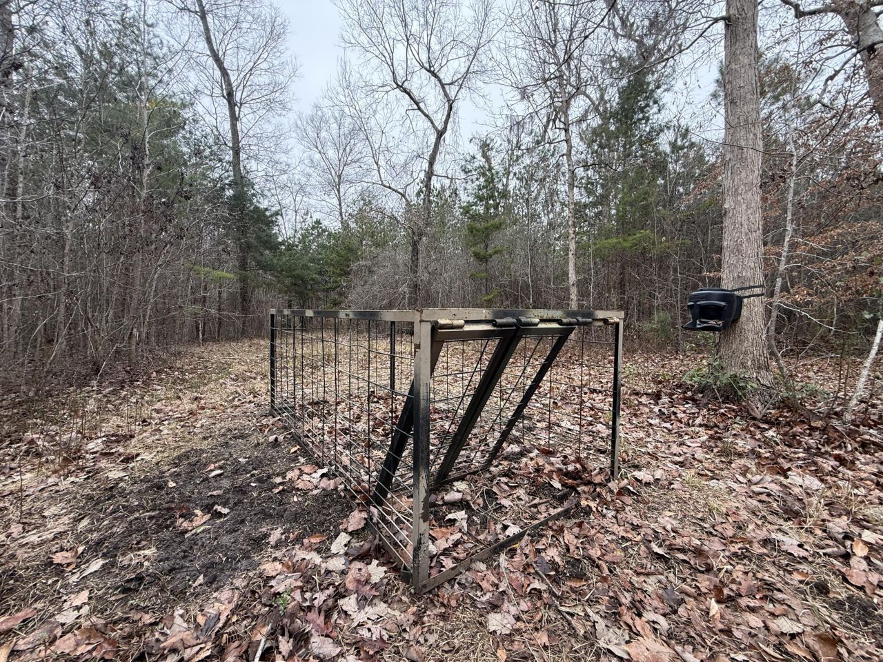 9750 Cottageville Highway Photo 50