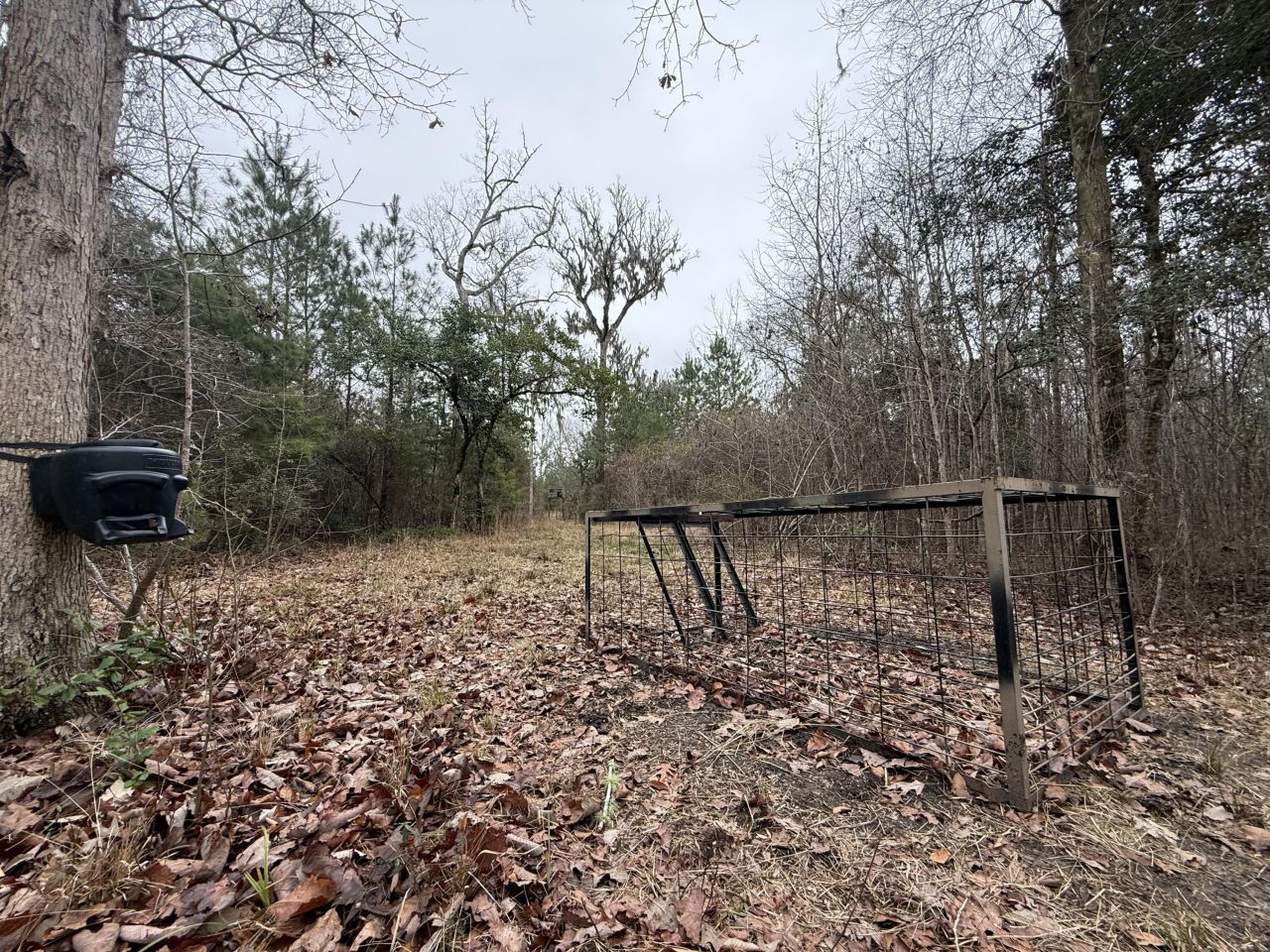 9750 Cottageville Highway Photo 51