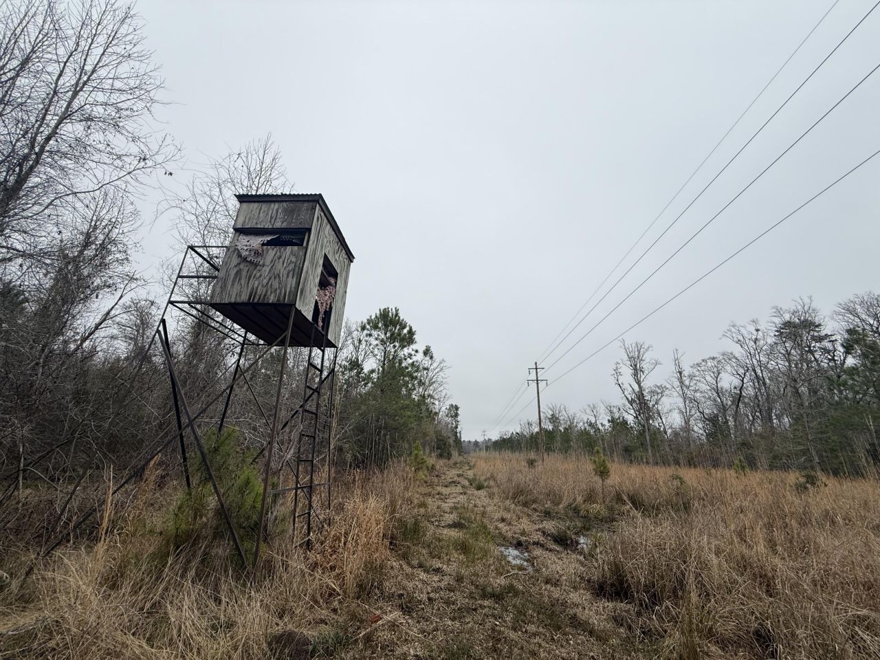 9750 Cottageville Highway Photo 52